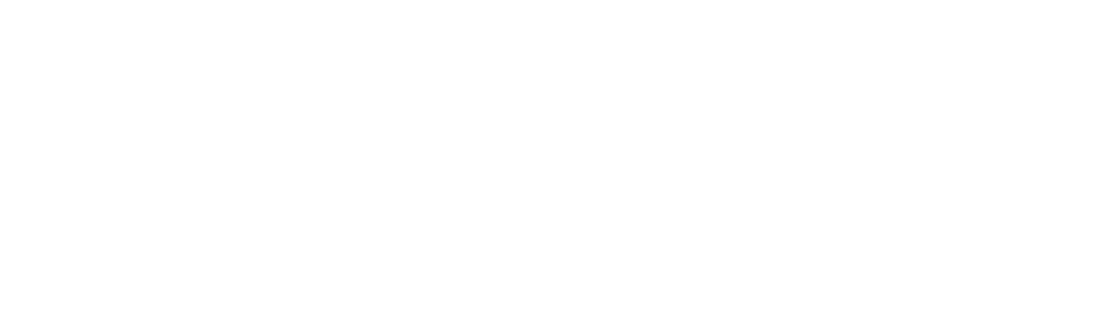 ahdis ag